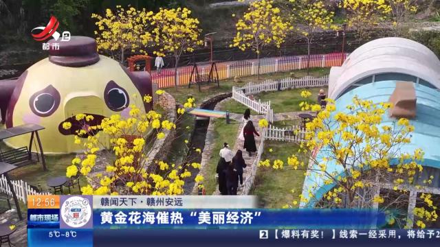 【赣闻天下】赣州安远：黄金花海催热“美丽经济”