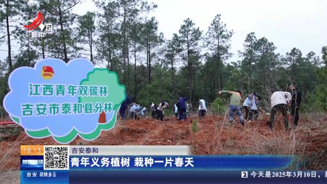 吉安泰和：青年义务植树 栽种一片春天