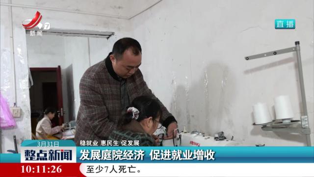 【稳就业 惠民生 促发展】发展庭院经济 促进就业增收
