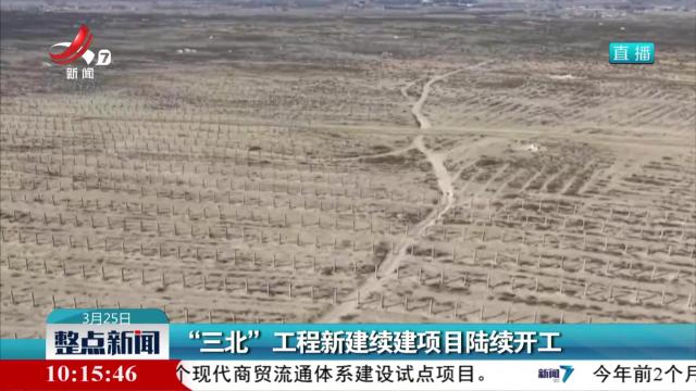 “三北”工程新建续建项目陆续开工