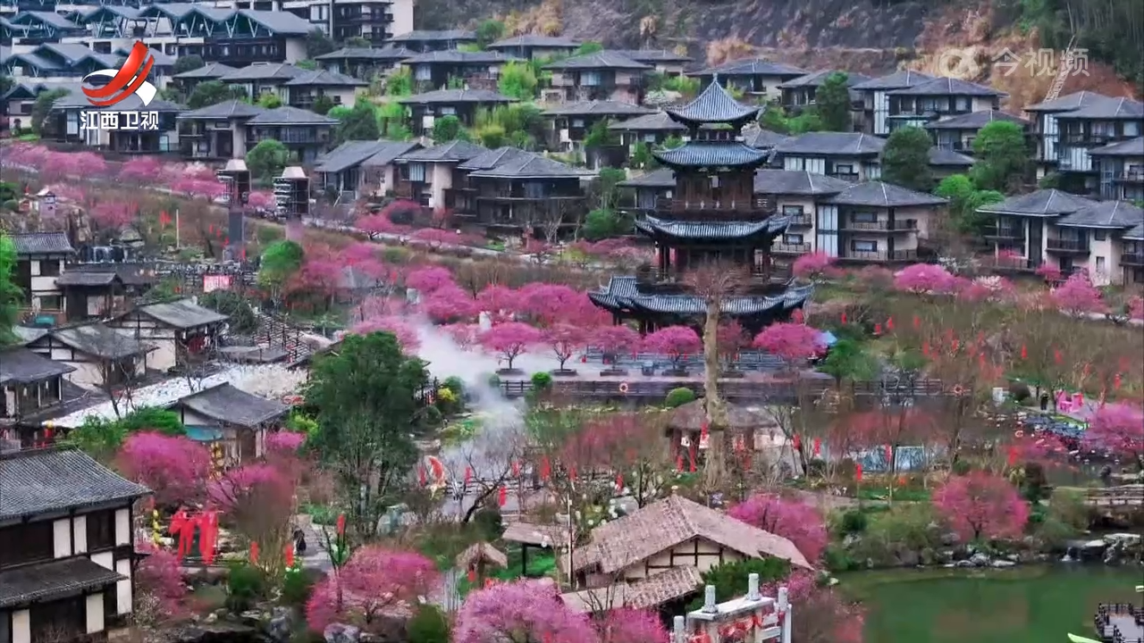 创新赏花消费场景 春日经济“热力”升腾