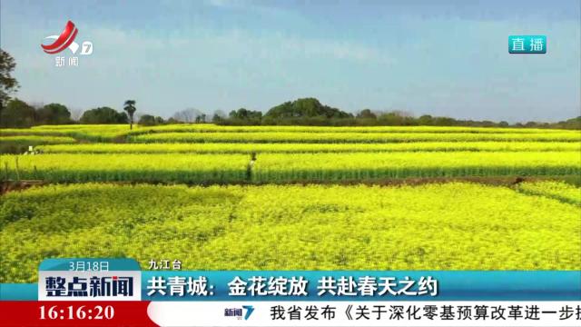 共青城：金花绽放 共赴春天之约