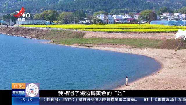 都市现场·午间版20250329