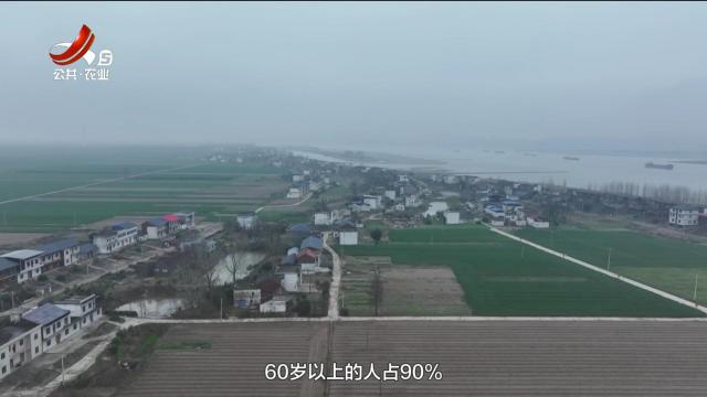 三农头条20250312