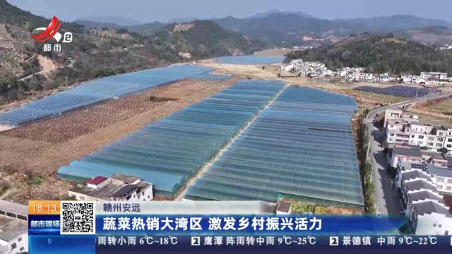 赣州安远：蔬菜热销大湾区 激发乡村振兴活力
