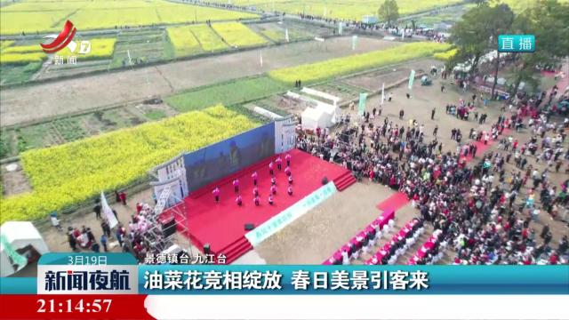 油菜花竞相绽放 春日美景引客来