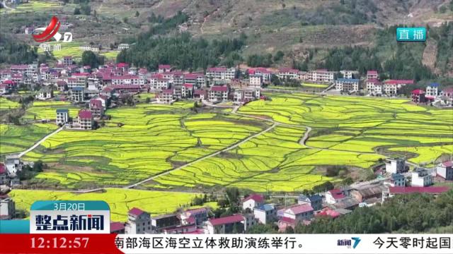 江西：抓党建强引领 推动基层治理效能提升
