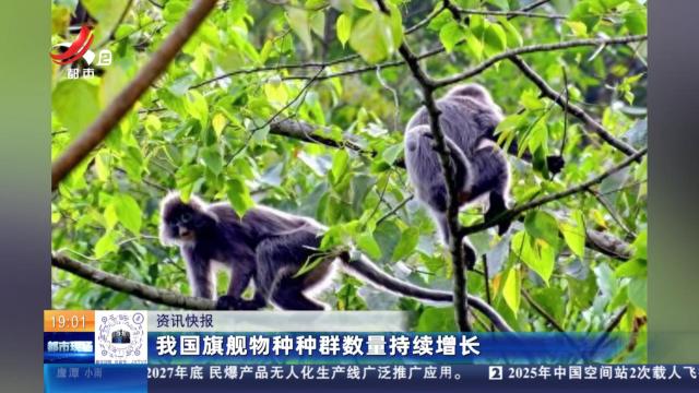 我国旗舰物种种群数量持续增长