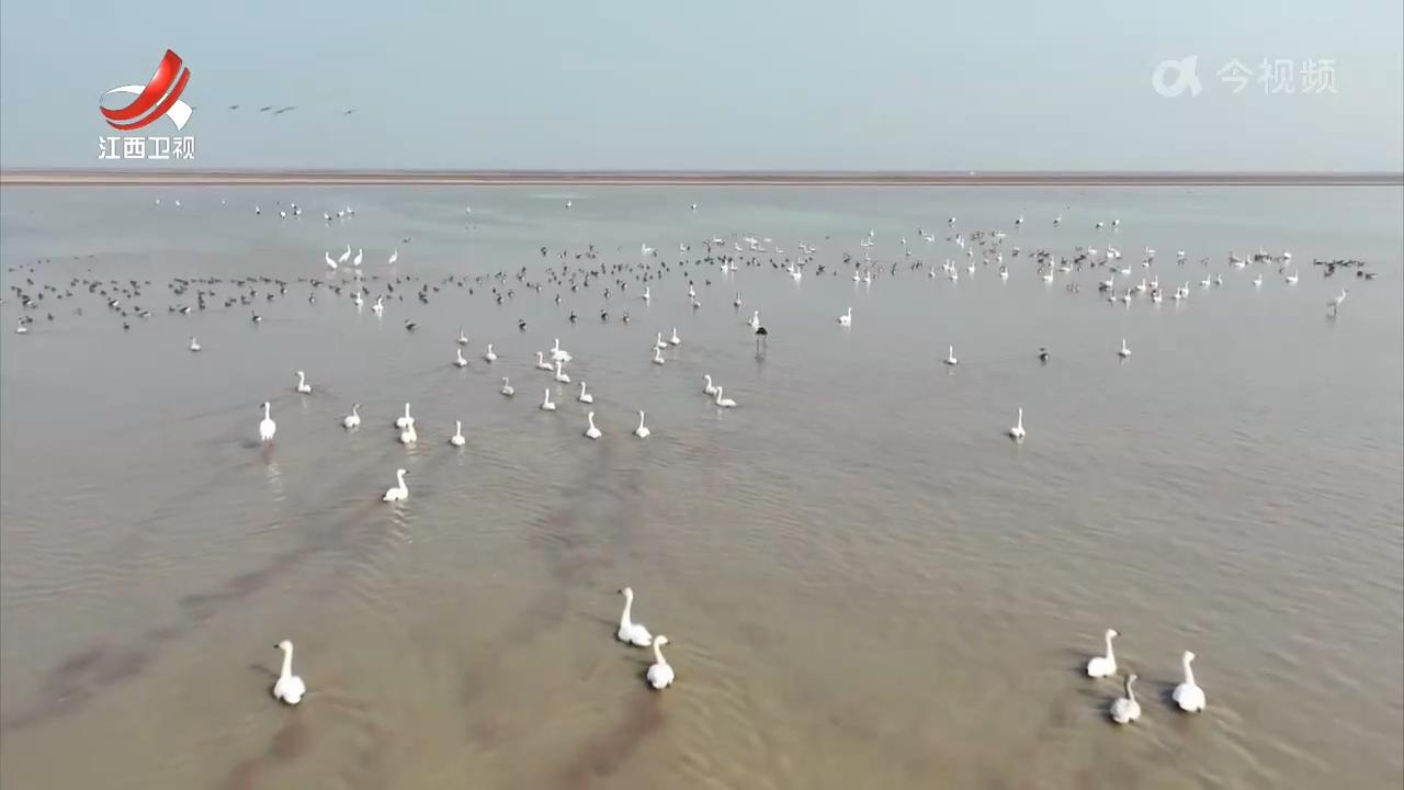 南昌鄱阳湖旅游公路铁河大桥合龙