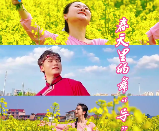 绝美！春天里的舞“导”，田野上的艺“师”