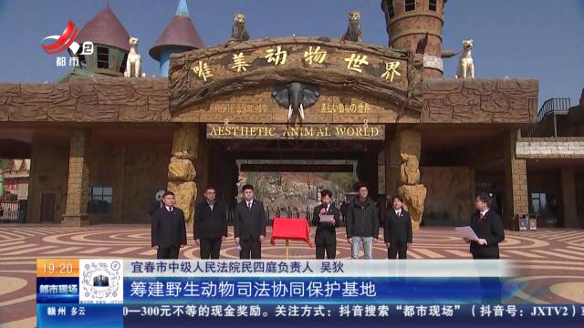 南昌新建：夏候鸟回来了！ 都在忙“婚姻大事”