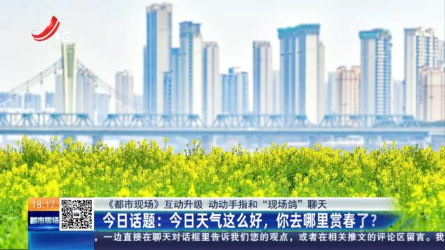 【《都市现场》互动升级 动动手指和“现场鸽”聊天】今日话题：今日天气这么好，你去哪里赏春了？
