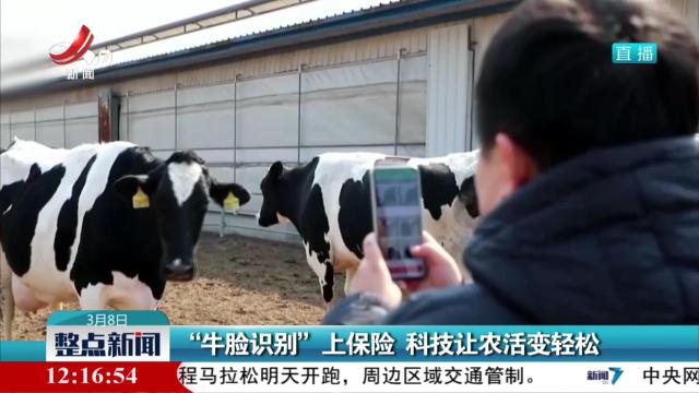 “牛脸识别”上保险 科技让农活变轻松