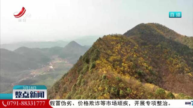 整点新闻20250318 10：00