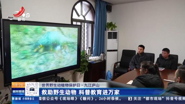 【世界野生动植物保护日】九江庐山：救助野生动物 科普教育进万家
