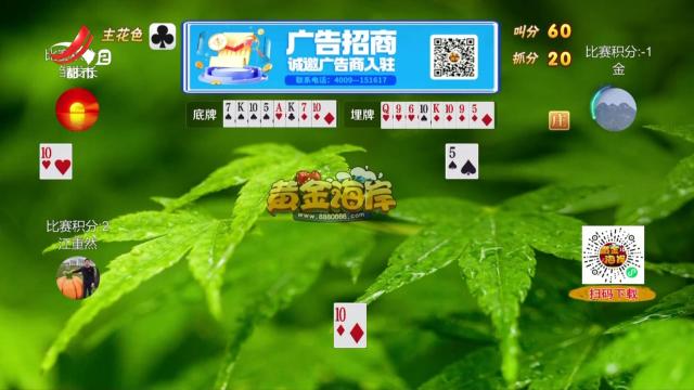 谁是赢家20250311