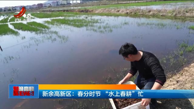新余高新区：春分时节“水上春耕”忙