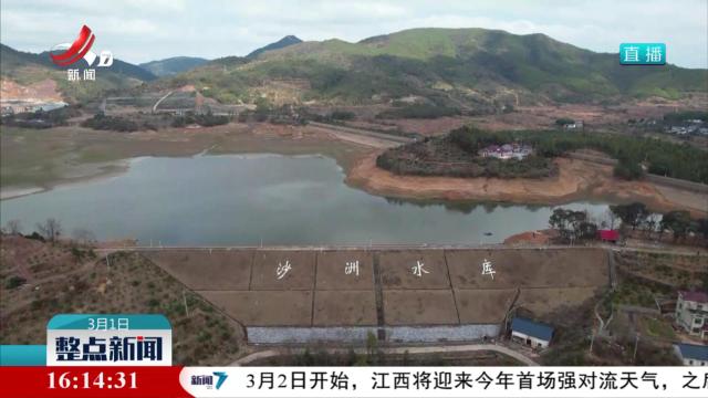 国家一级重点保护野生动物东方白鹳现身瑞金
