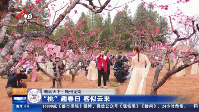 【赣闻天下】赣州龙南：“桃”趣春日 客似云来