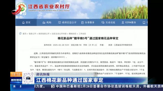 江西棉花新品种通过国家审定