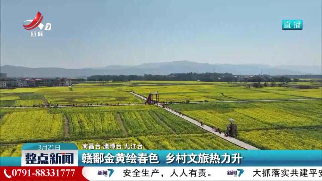 赣鄱金黄绘春色 乡村文旅热力升