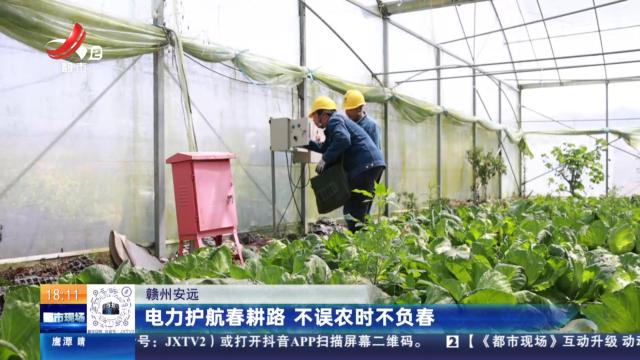 赣州安远：电力护航春耕路 不误农时不负春