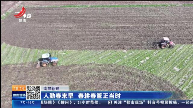 南昌新建：人勤春来早 春耕春管正当时