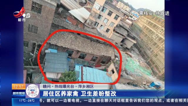 【赣问·热线曝光台】萍乡湘区：居住区养家禽 卫生差盼整改