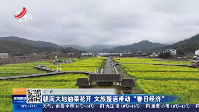 江西：赣南大地油菜花开 文旅整活带动“春日经济”