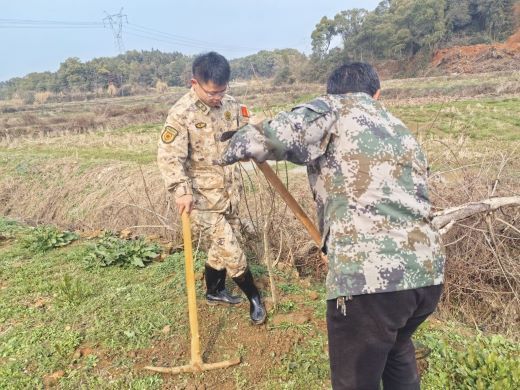 上高县镇渡乡民兵开展春季植树活动 为乡村振兴添新绿