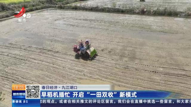 【春日经济】九江湖口：早稻机插忙 开启“一田双收”新模式