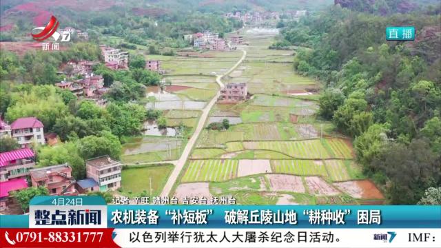 整点新闻20250424 12：00