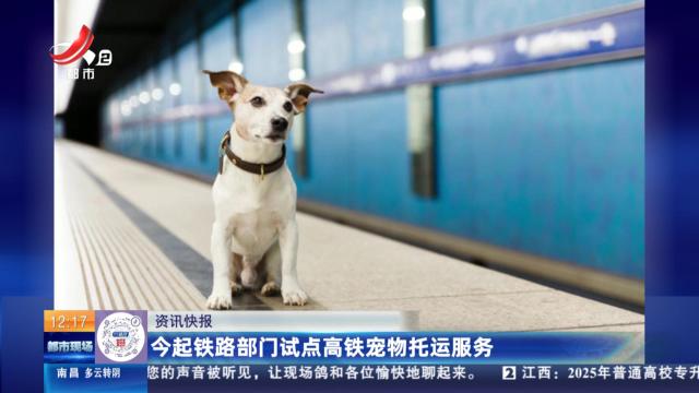 今起铁路部门试点高铁宠物托运服务