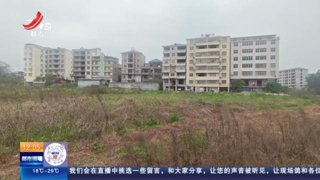 都市现场·午间版20250408
