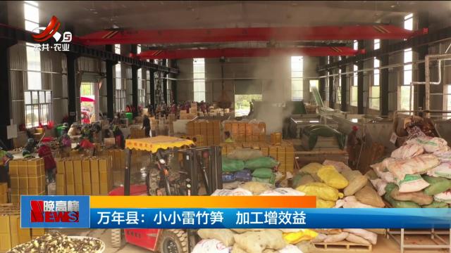 万年县：小小雷竹笋 加工增效益