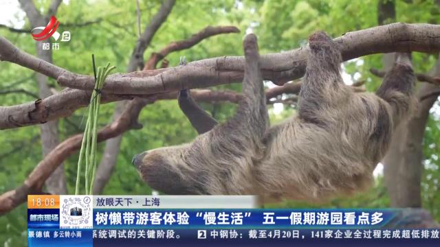 【放眼天下】上海：树懒带游客体验“慢生活” 五一假期游园看点多