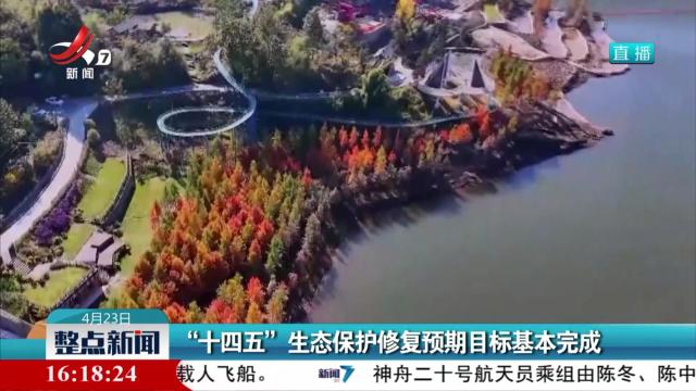“十四五”生态保护修复预期目标基本完成