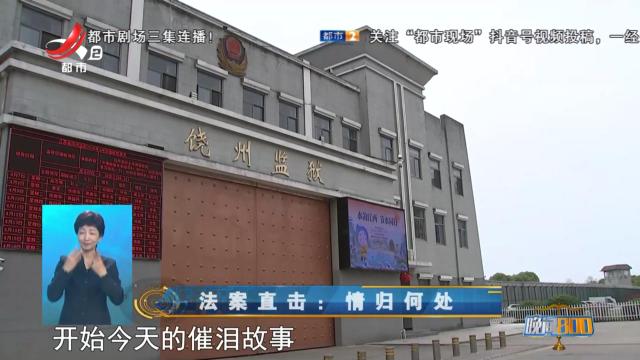 晚间800 20250418 法案直击：情归何处