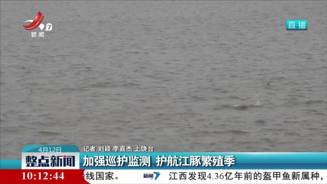 加强巡护监测 护航江豚繁殖季