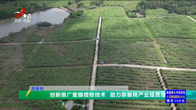 三农头条20250429