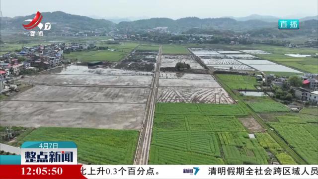 整点新闻20250407 12：00