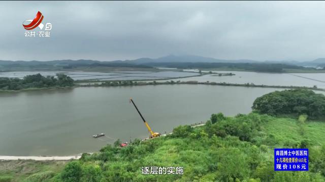 农问20250411