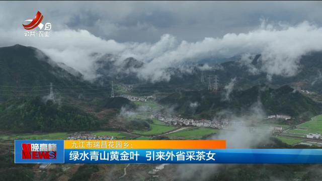 新闻晚高峰20250429