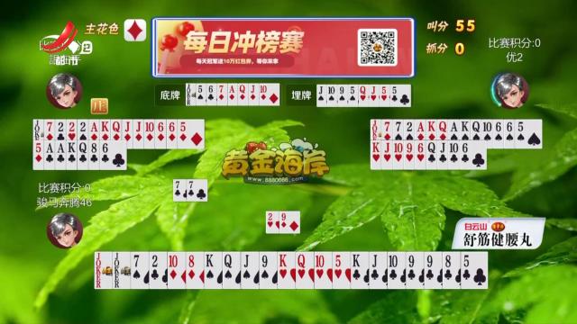 谁是赢家20250429