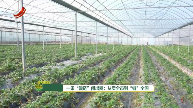 从田园到餐桌20250426