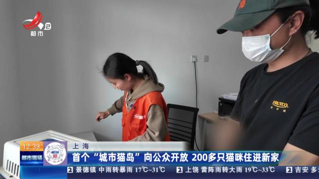 上海：首个“城市猫岛”向公众开放 200多只猫咪住进新家