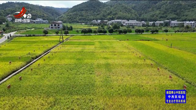 三农头条20250407
