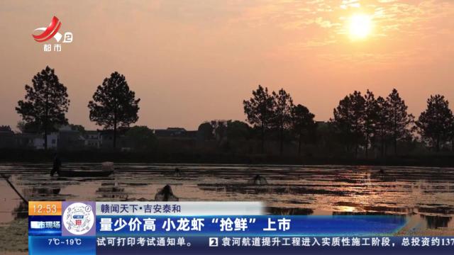 【赣闻天下】吉安泰和：量少价高 小龙虾“抢鲜”上市