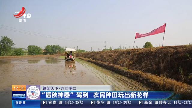 【赣闻天下】九江湖口：“插秧神器”驾到 农民种田玩出新花样