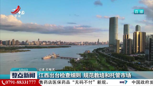 整点新闻20250406 10:00